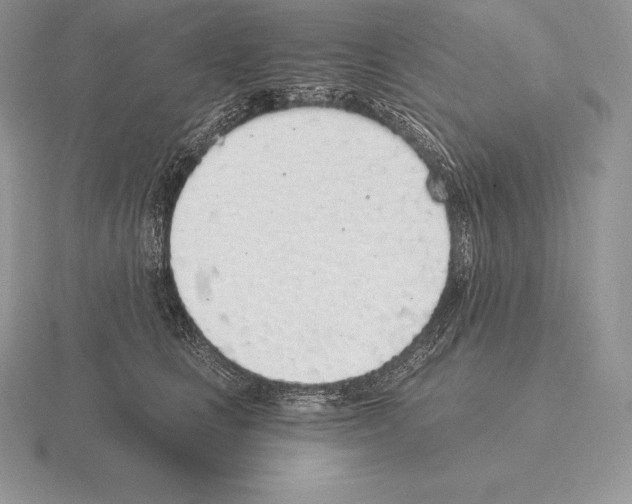 X0000115160661200912081409