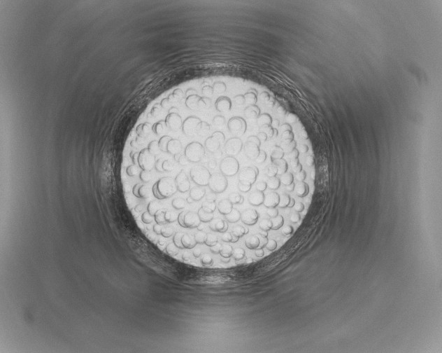 X0000115160662200912081409