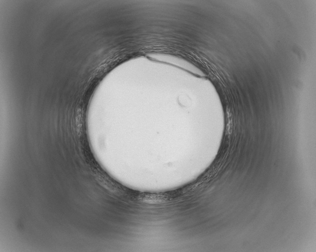 X0000115160664200912081409