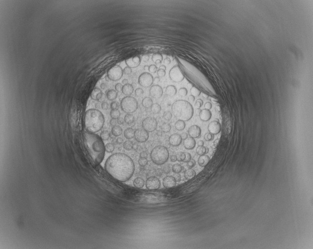 X0000115160666200912081409