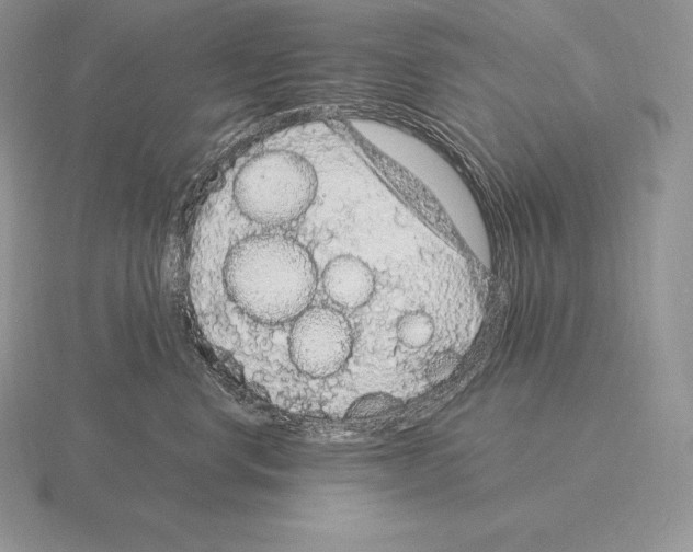 X0000115160668200912081409