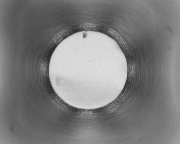 X0000115160669200912081409