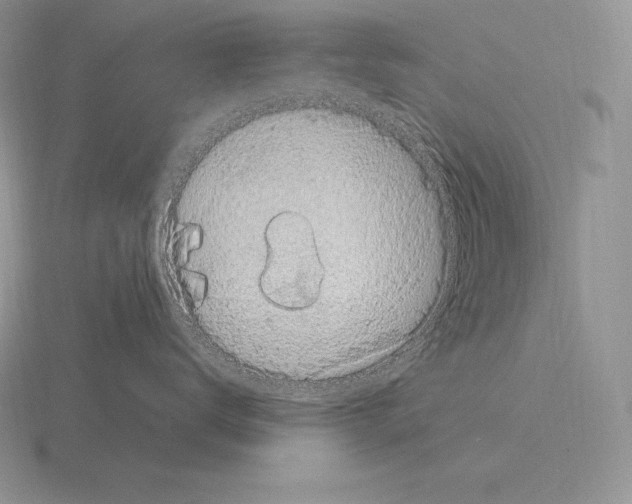 X0000115160672200912081409