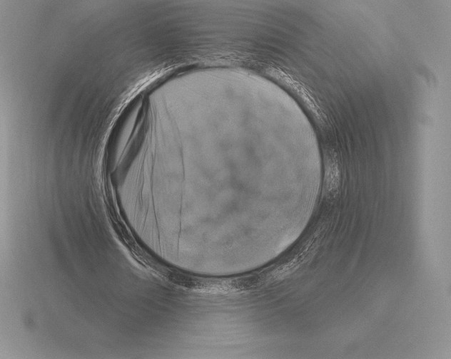 X0000115160674200912081409