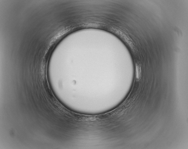 X0000115160675200912081409