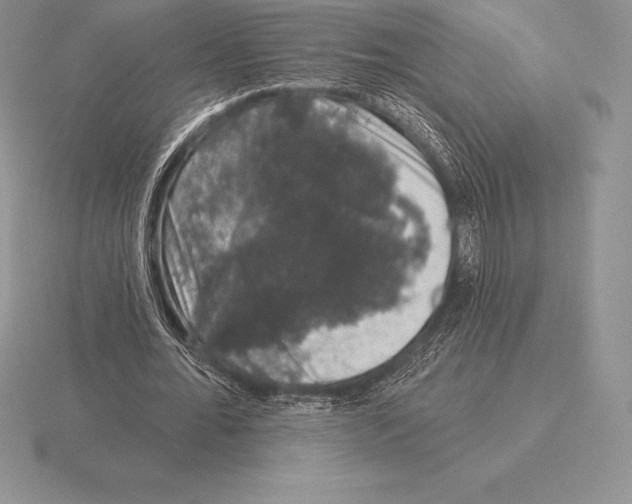 X0000115160676200912081409