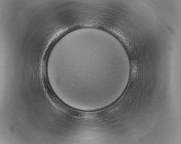 X0000115160678200912081409