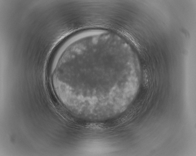 X0000115160680200912081409