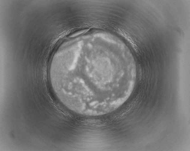 X0000115160681200912081409