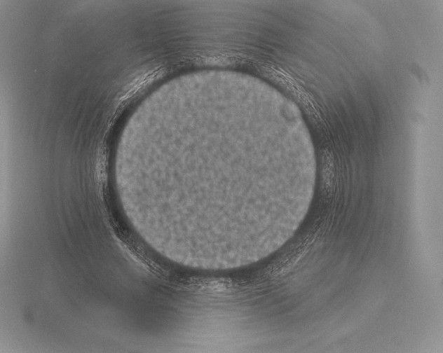 X0000115160683200912081409