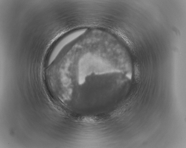 X0000115160684200912081409