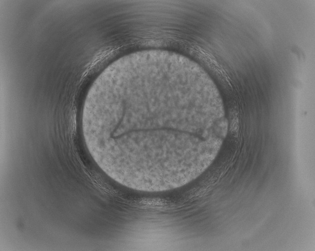 X0000115160685200912081409