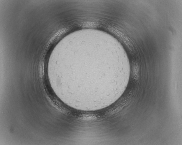 X0000115160686200912081408