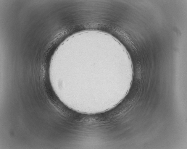 X0000115160687200912081408