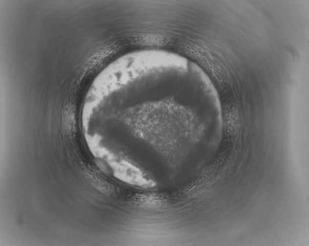 X0000115160688200912081408