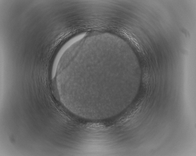 X0000115160689200912081408