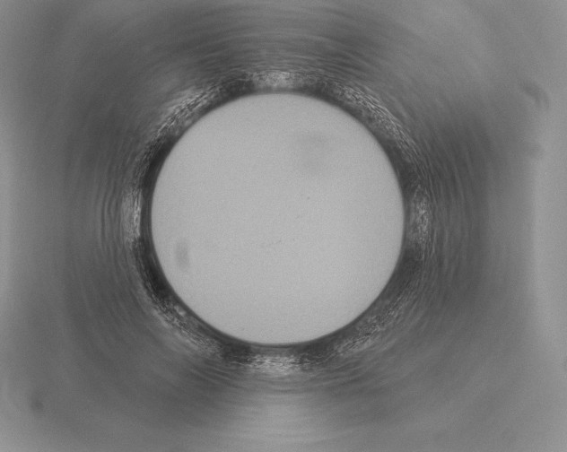 X0000115160694200912081408