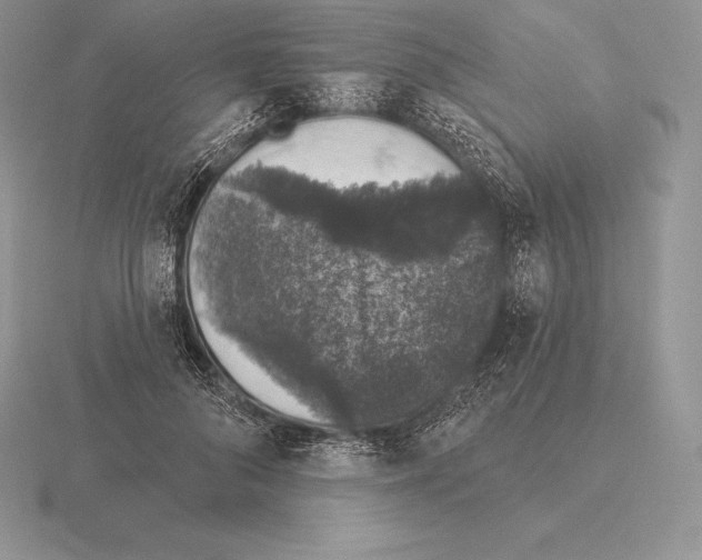 X0000115160696200912081408