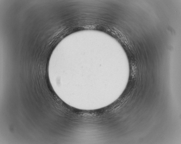 X0000115160697200912081408