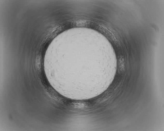 X0000115160698200912081408