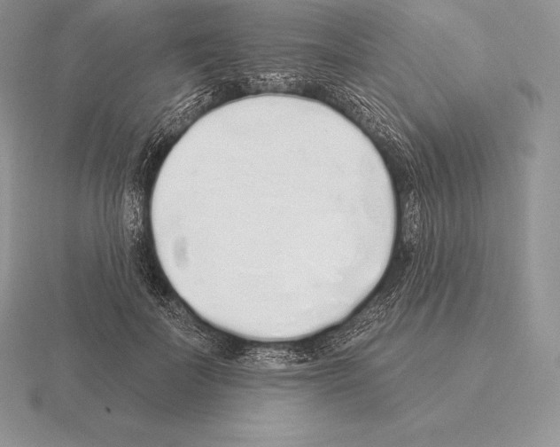 X0000115160699200912081408