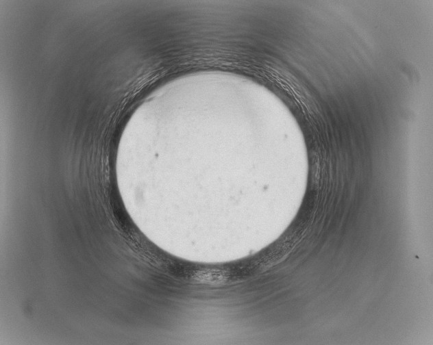 X0000115160700200912081408