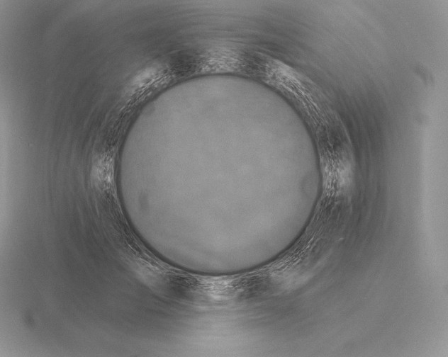 X0000115160701200912081408