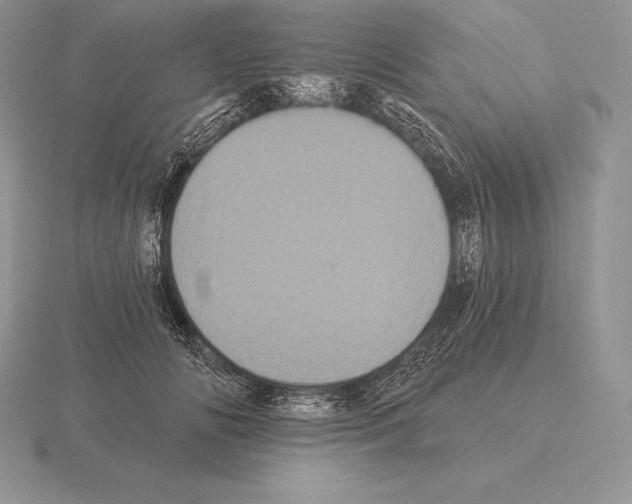 X0000115160702200912081408