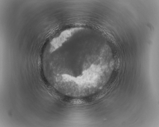 X0000115160704200912081408