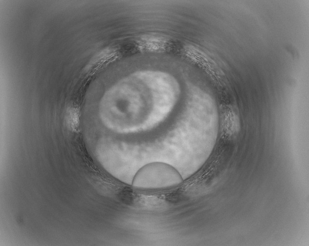 X0000115160709200912081408