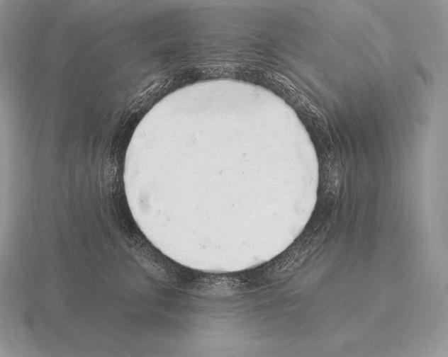 X0000115160711200912081408