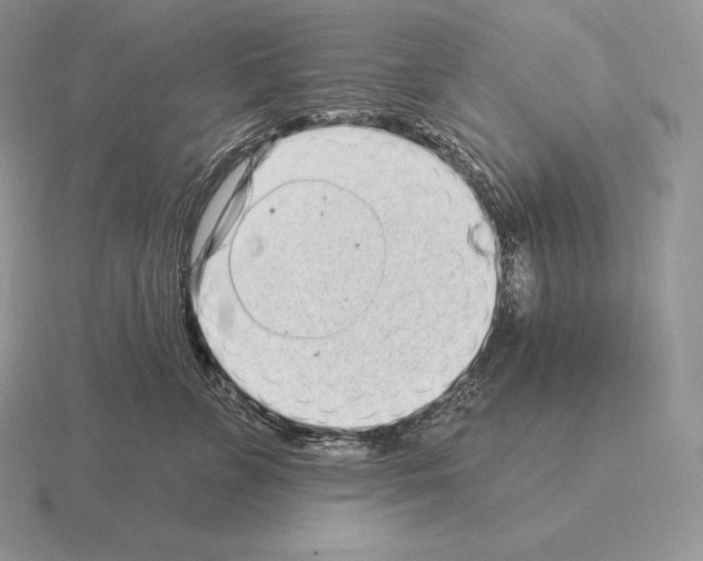 X0000115160715200912081408