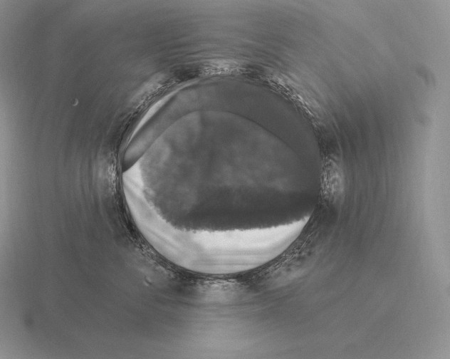 X0000115160716200912081408