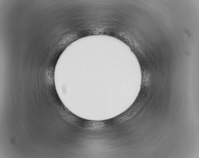 X0000115160719200912081408