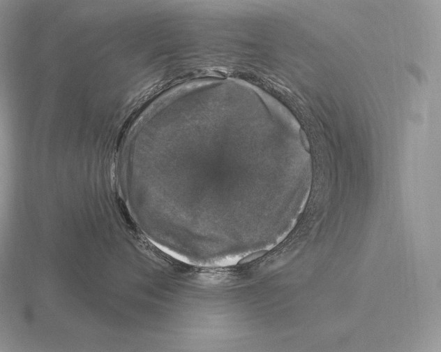 X0000115160720200912081408