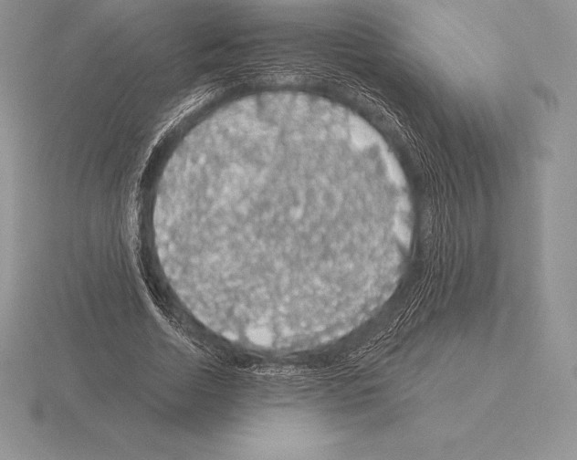 X0000115160730200912081407