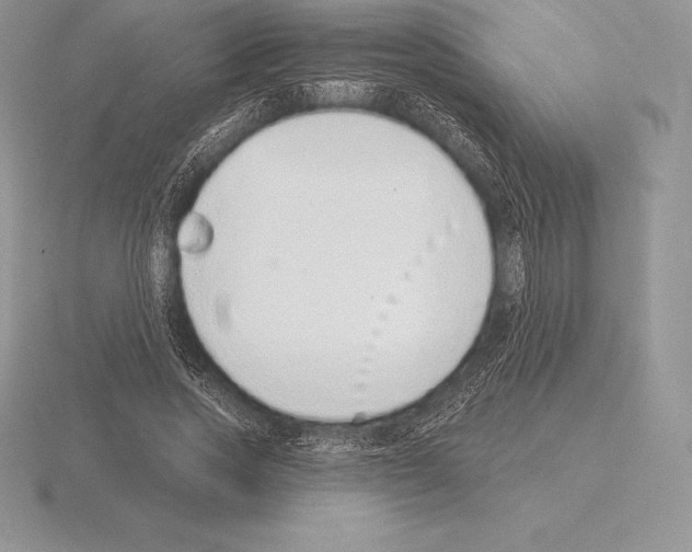 X0000115160733200912081407