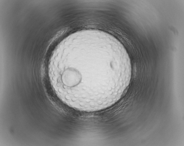 X0000115160734200912081408