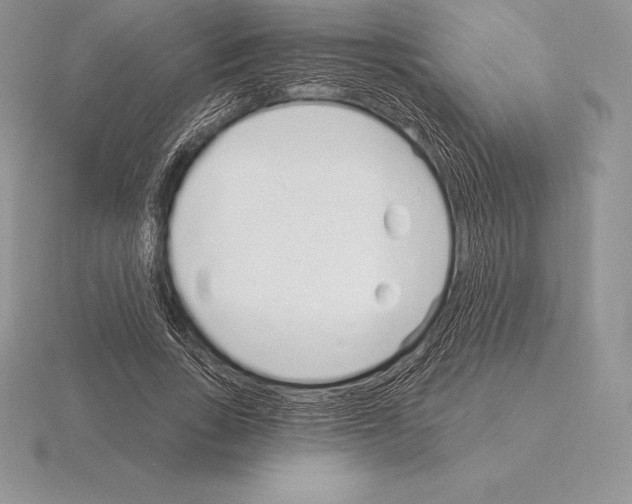 X0000115160735200912081408