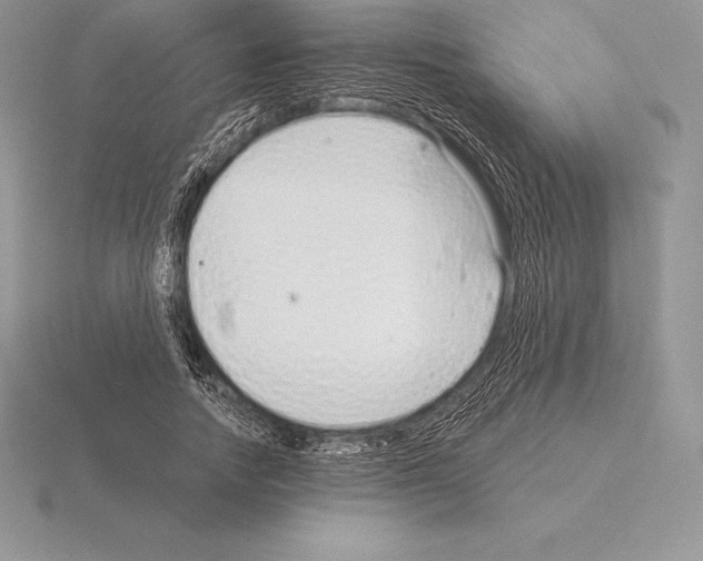 X0000115160738200912081408