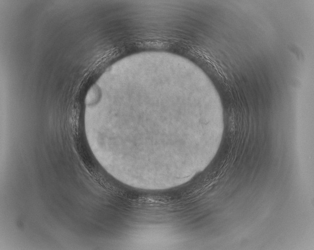 X0000115160739200912081408