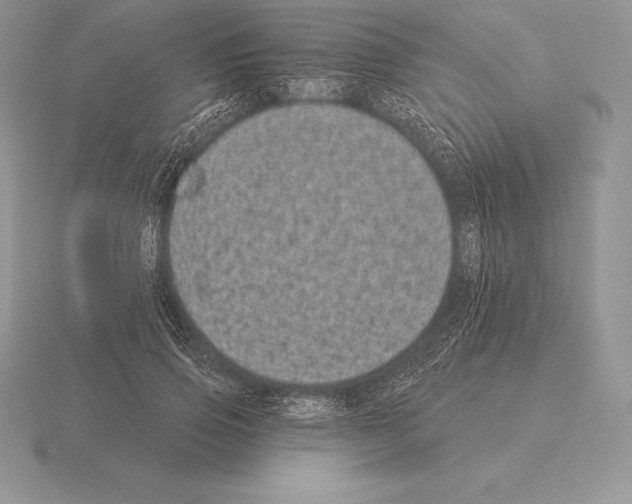 X0000115160741200912081408