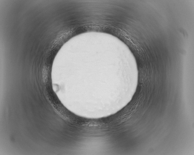 X0000115160742200912081408