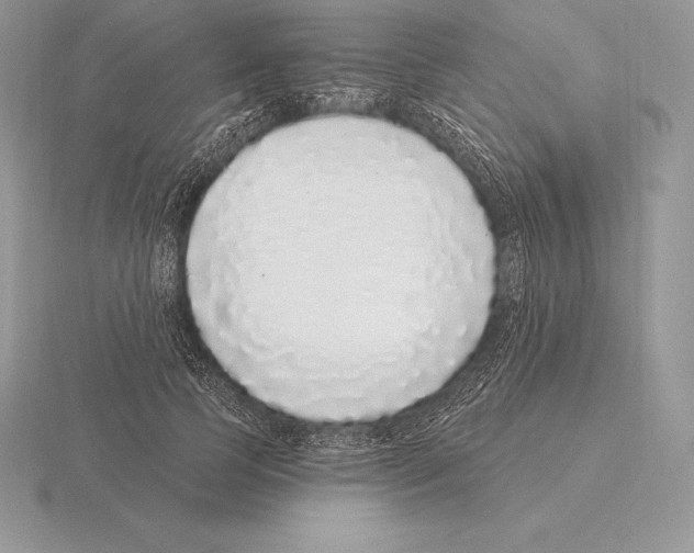 X0000115160745200912081408