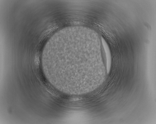 X0000115160746200912081408