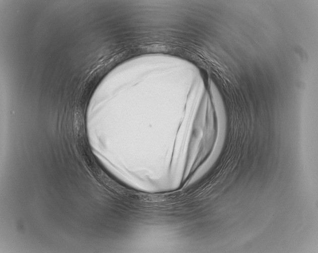 X0000115160747200912081408