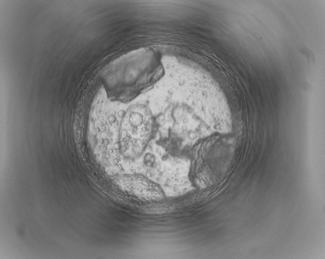 X0000115160749200912081408