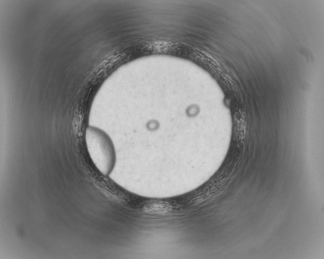 X0000115160750200912081408