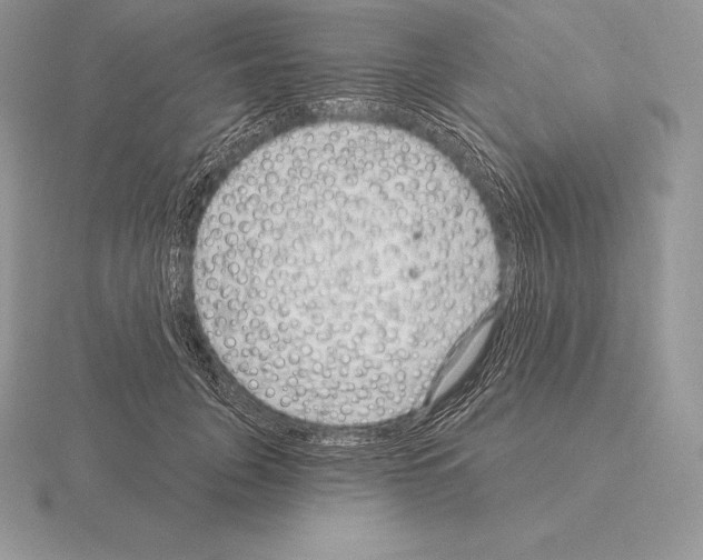 X0000115160751200912081408