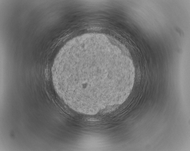 X0000115160755200912081408